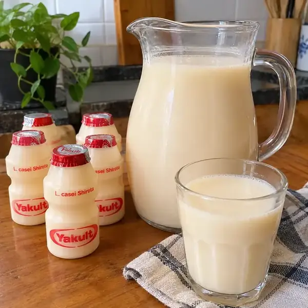 Yakult feito em casa